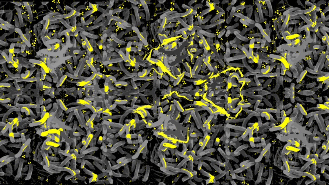 Grafik: Auf schwarzem Hintergrund tummeln sich unzählige stäbchenförmige Bakterien in verschiedenen Grautönen, deren Oberflächen teils mit grellem Gelb akzentuiert sind; dazwischen erscheinen viele kleine und kleinste gelbe Radioaktivzeichen.